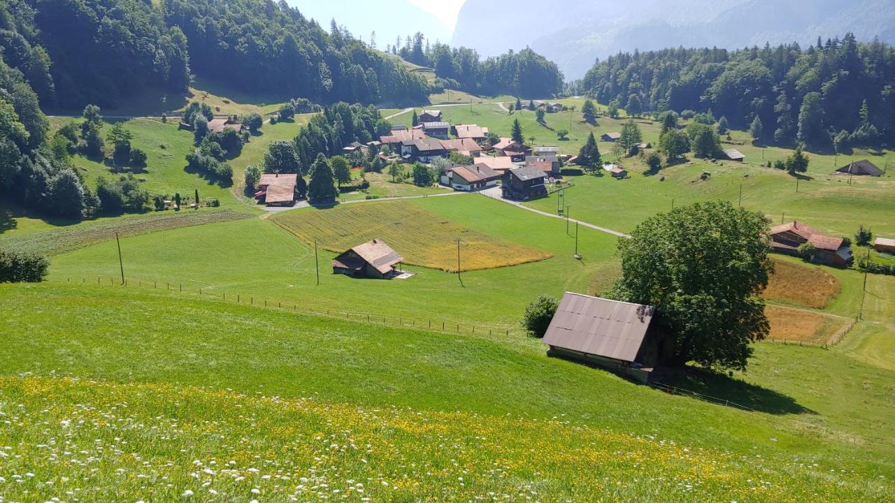 Chalet Bruenig Meiringen Buitenkant foto