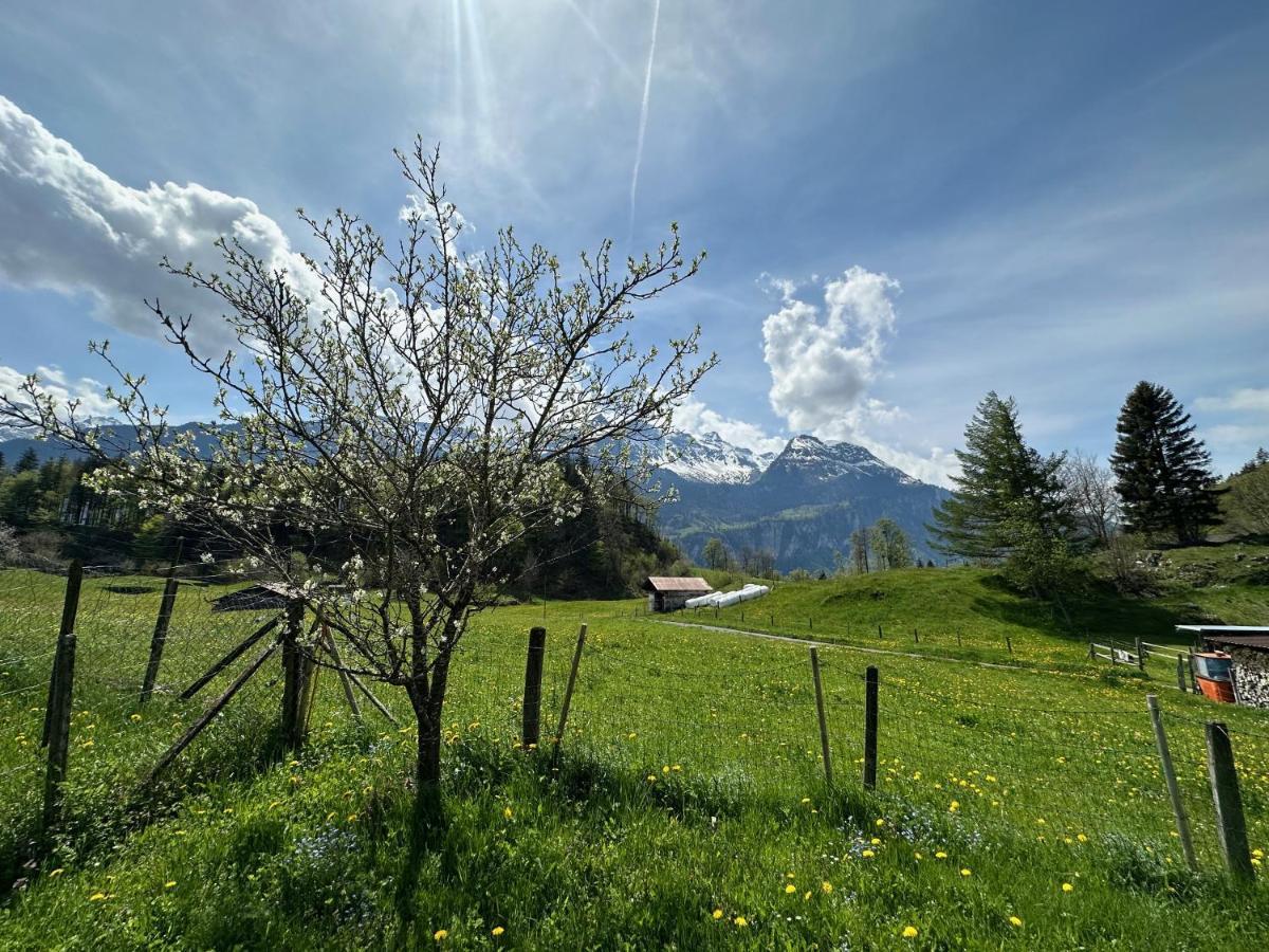 Chalet Bruenig Meiringen Buitenkant foto