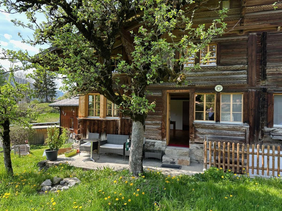 Chalet Bruenig Meiringen Buitenkant foto