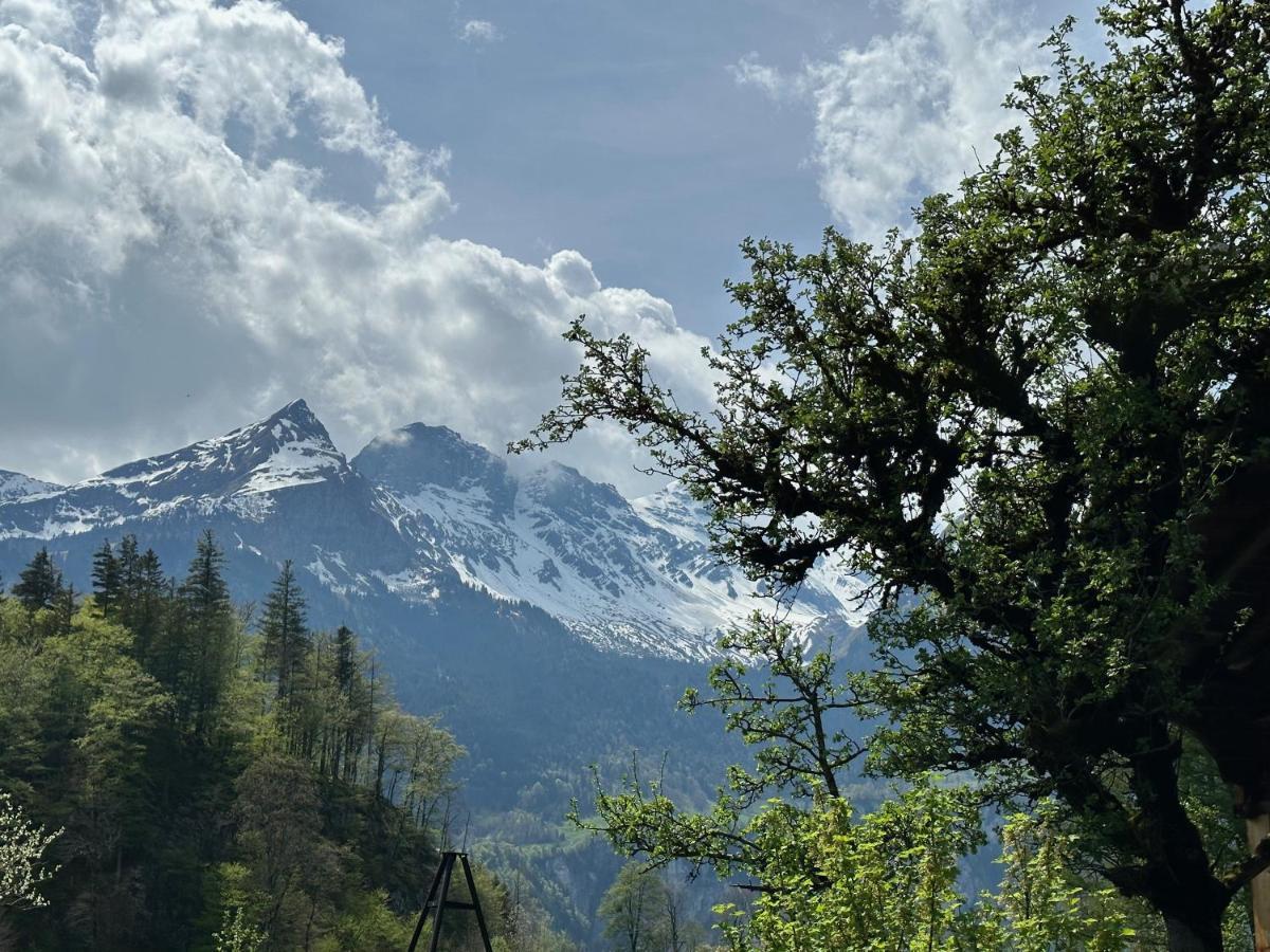 Chalet Bruenig Meiringen Buitenkant foto