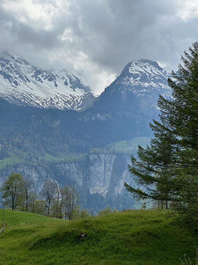 Chalet Bruenig Meiringen Buitenkant foto