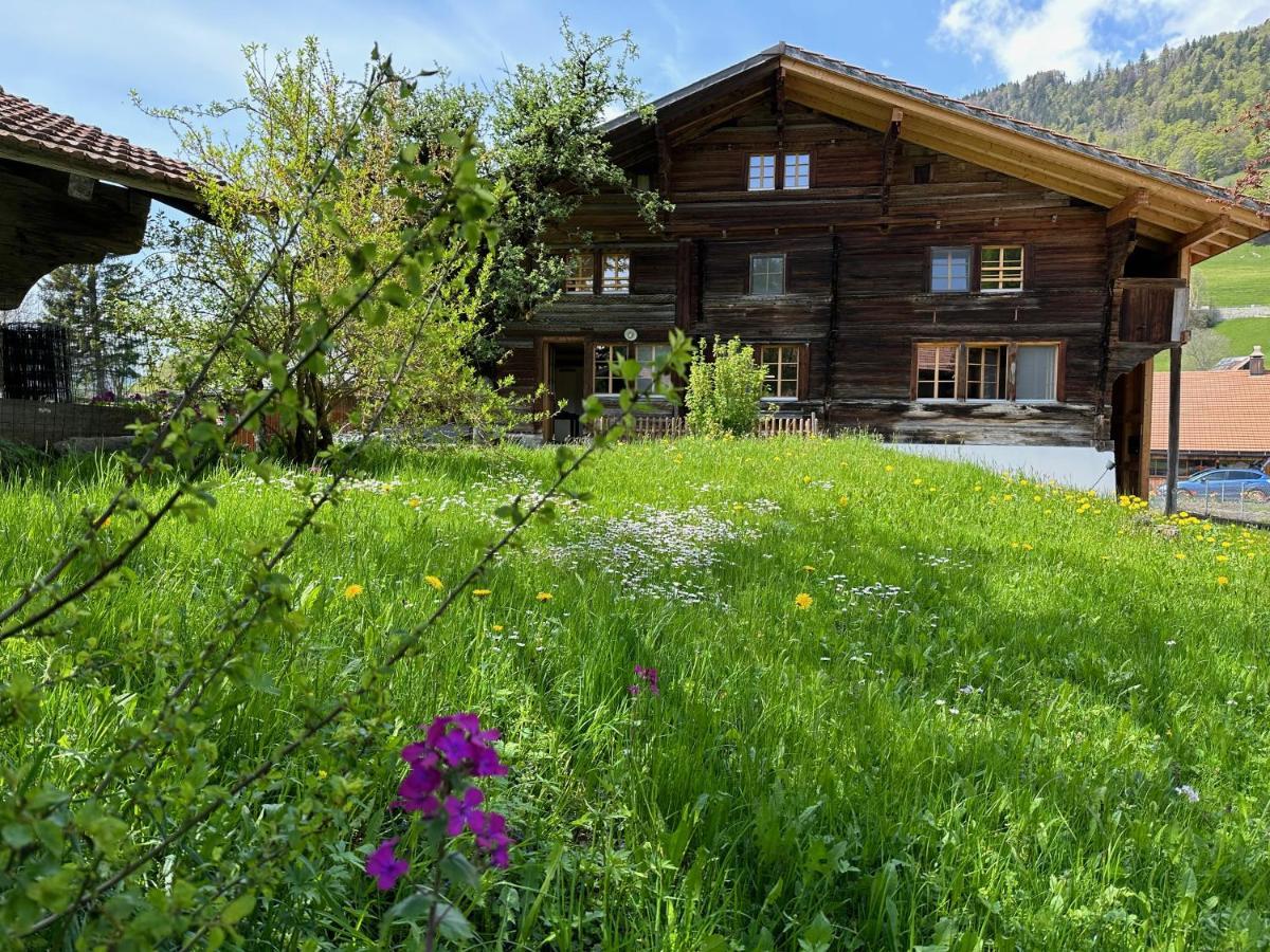 Chalet Bruenig Meiringen Buitenkant foto