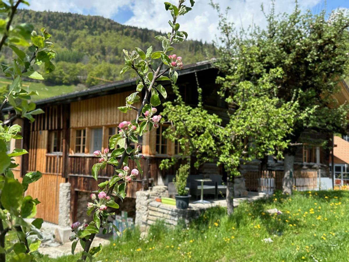 Chalet Bruenig Meiringen Buitenkant foto