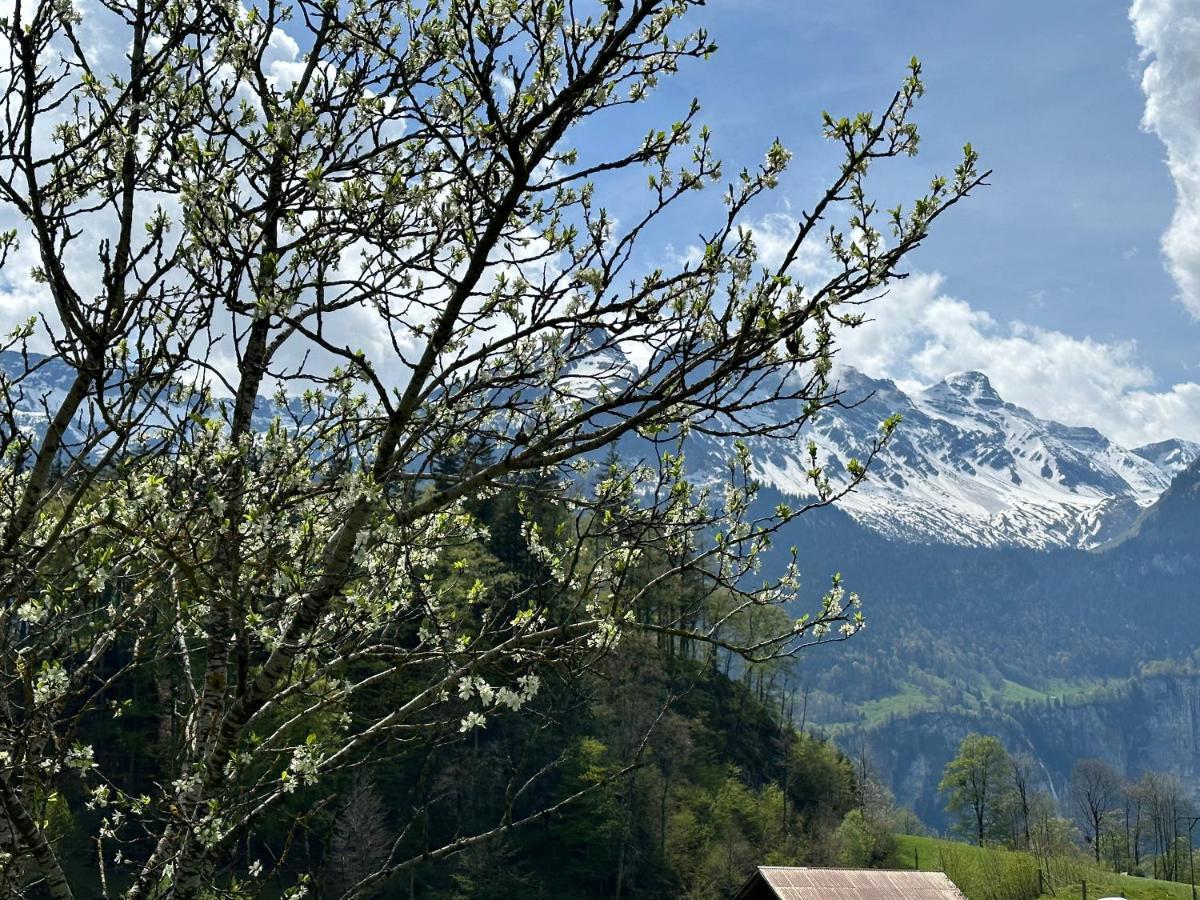 Chalet Bruenig Meiringen Buitenkant foto