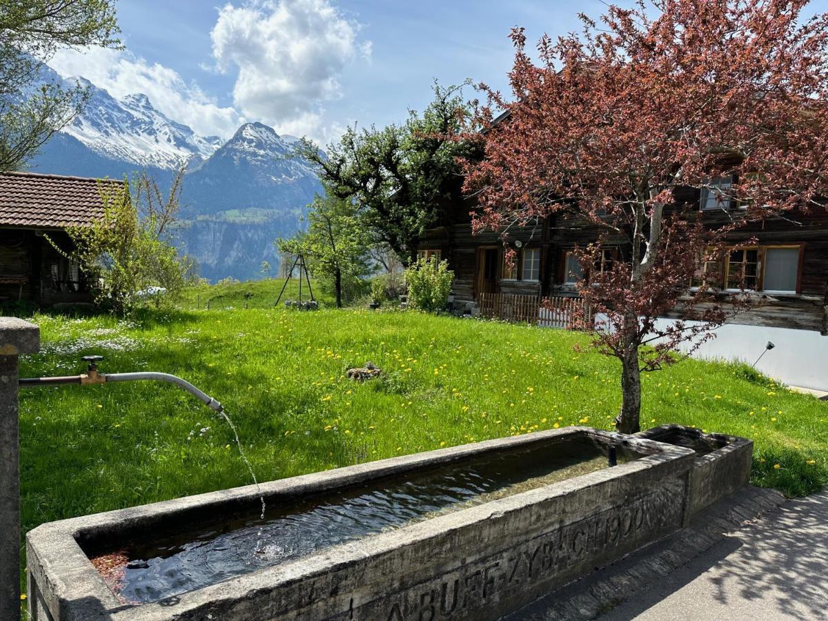 Chalet Bruenig Meiringen Buitenkant foto