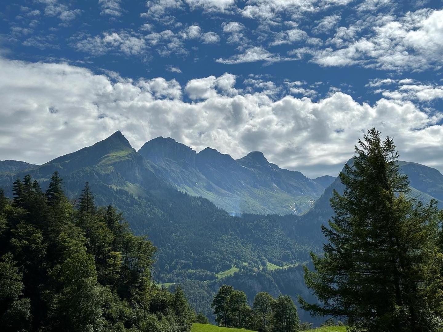 Chalet Bruenig Meiringen Buitenkant foto