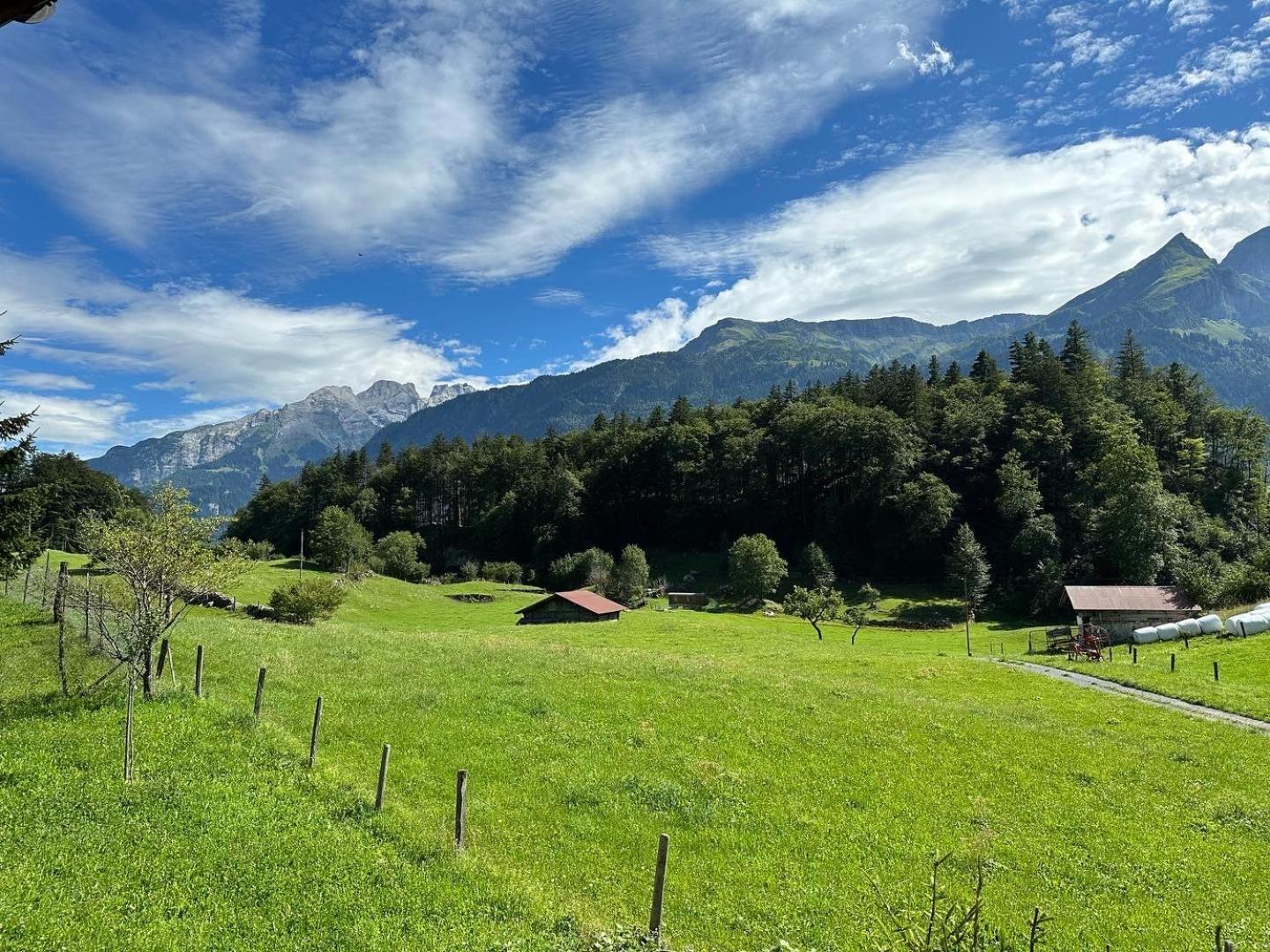 Chalet Bruenig Meiringen Buitenkant foto