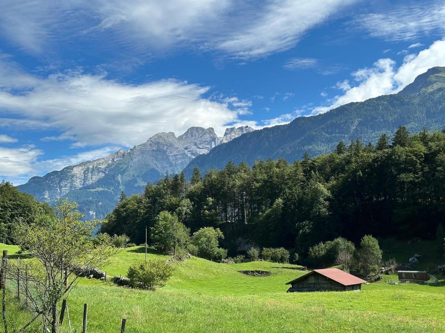 Chalet Bruenig Meiringen Buitenkant foto
