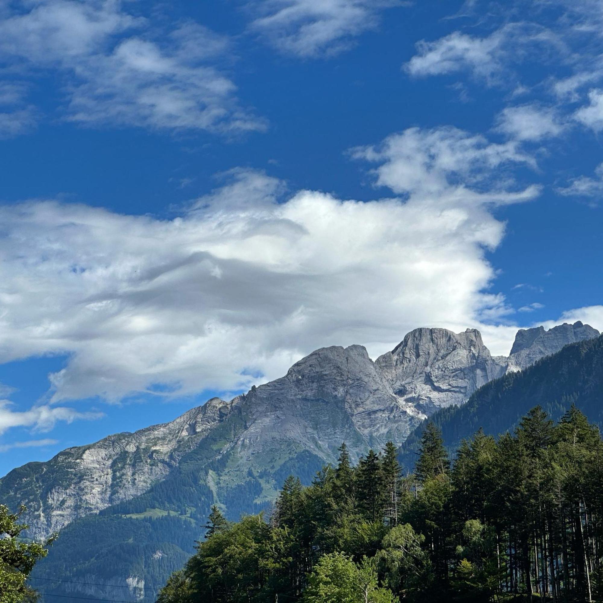 Chalet Bruenig Meiringen Buitenkant foto