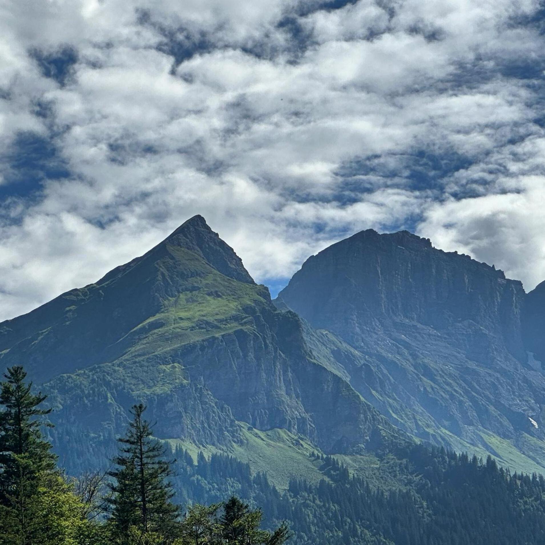 Chalet Bruenig Meiringen Buitenkant foto